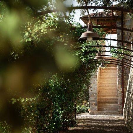Tenuta Castelgiocondo Montalcino Exteriör bild